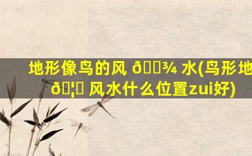 地形像鸟的风 🌾 水(鸟形地 🦆 风水什么位置zui
好)